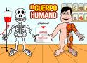 El Cuerpo humano