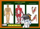 Cuerpo humano 1º ciclo