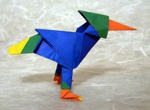 pájaro de colores pájaro de colores